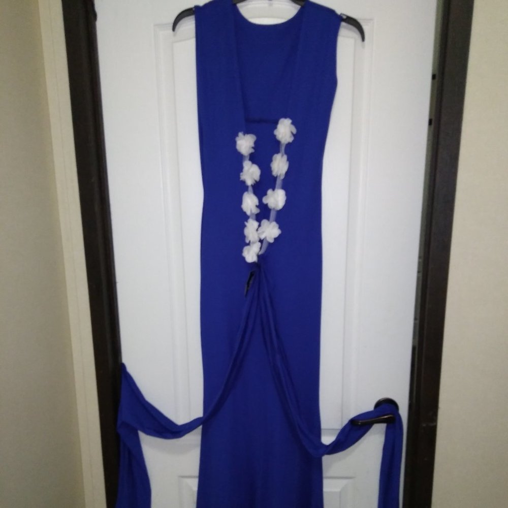 Beautiful Viennois Evening Dress